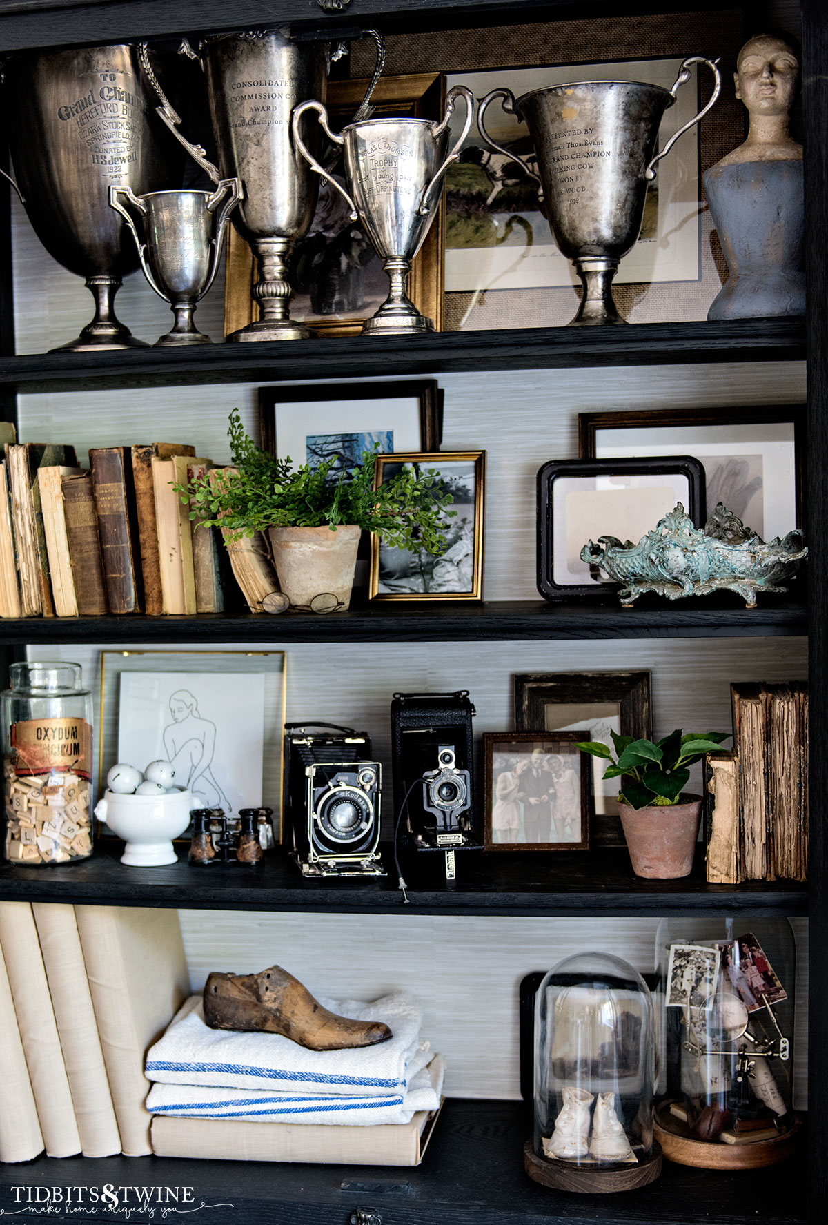 black cabinet with grasscloth wallpaper on back panel styled with vintage trophies cameras and books