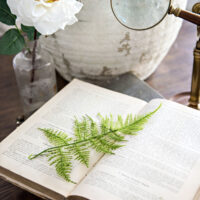 vignette of rustic vase next to antique book open on table with magnifying glass and single white rose