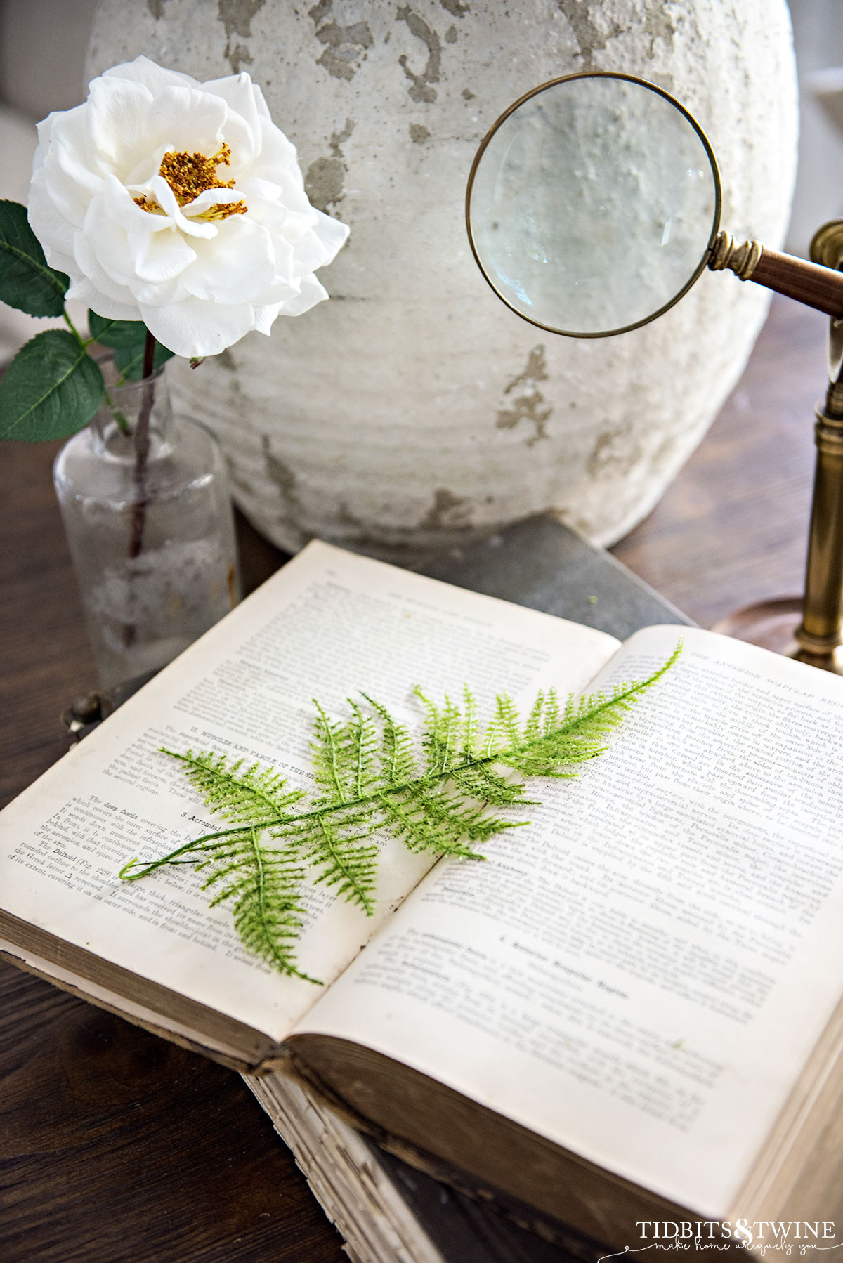 vignette of rustic vase next to antique book open on table with magnifying glass and single white rose