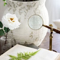 large rustic white vase with greenery behind open book with fern on top