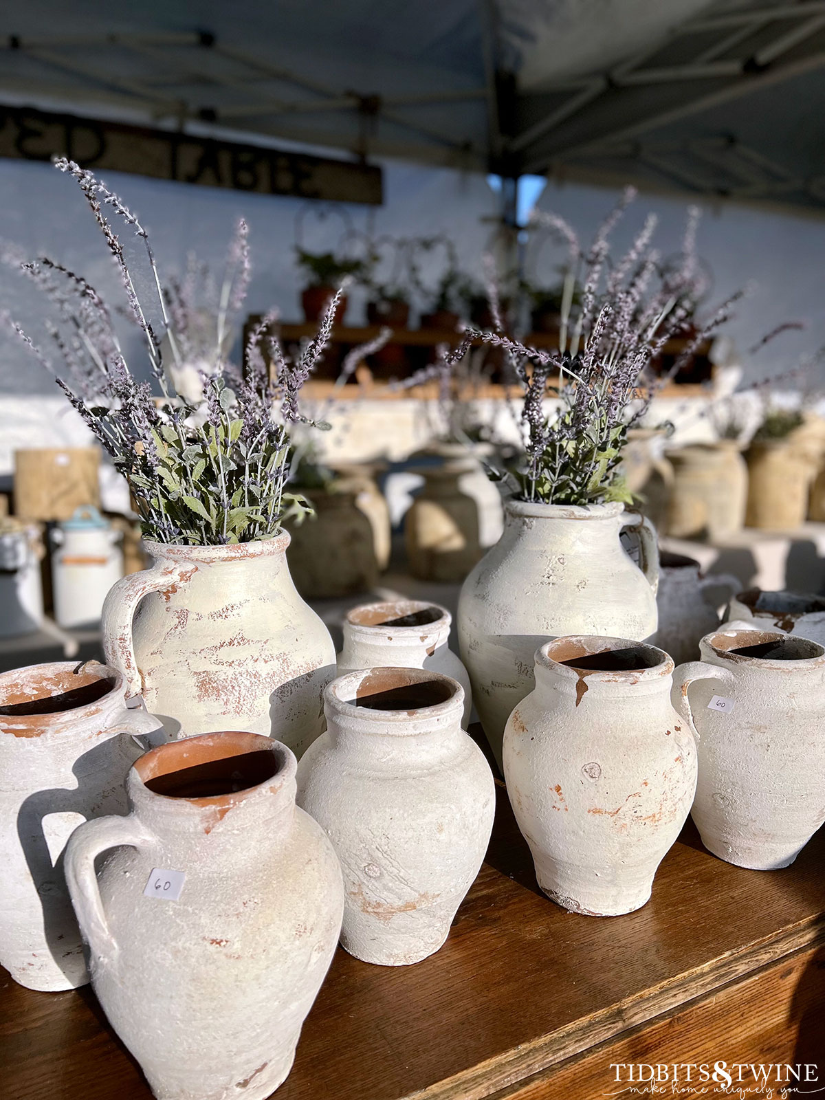 antique white pottery jugs some with lavender stems inside