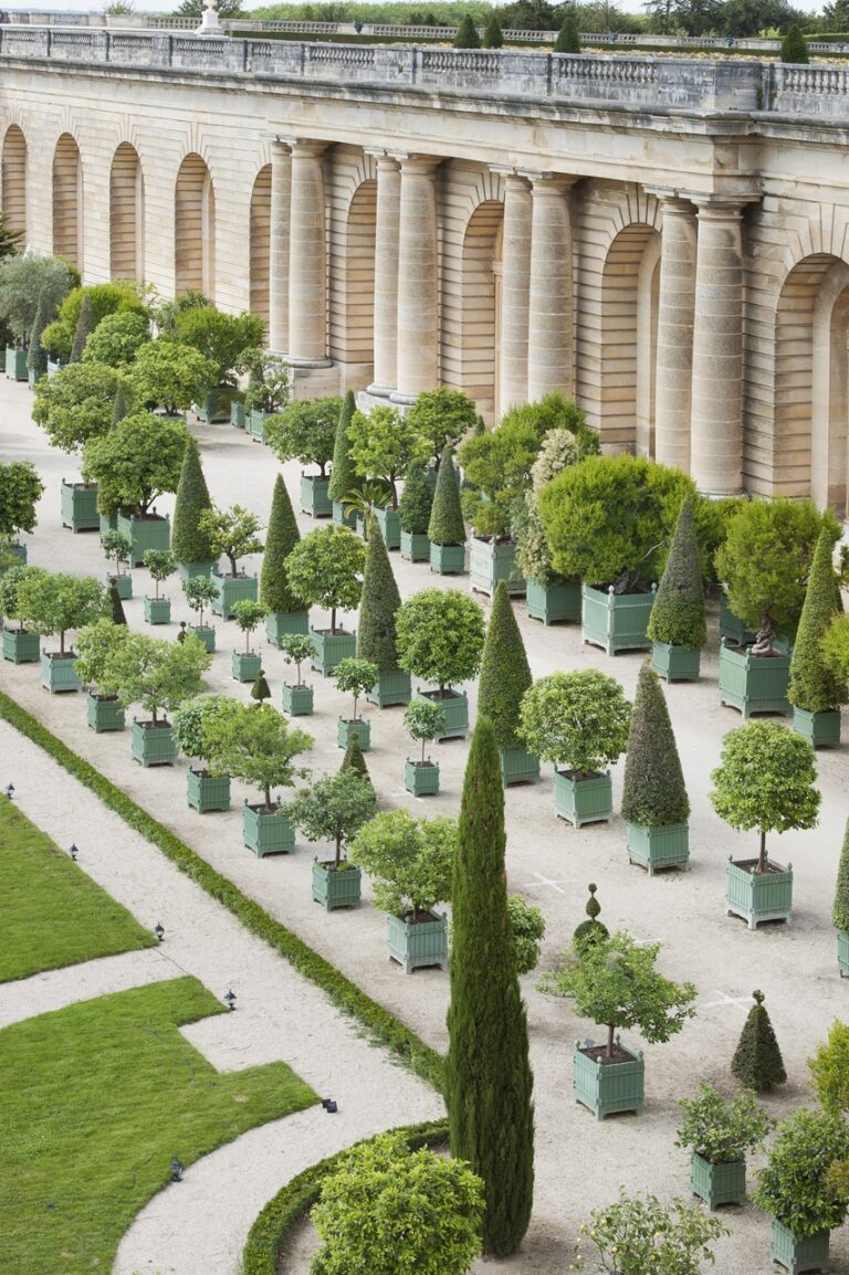 25+ Favorite French Planters for the Yard Tidbits&Twine