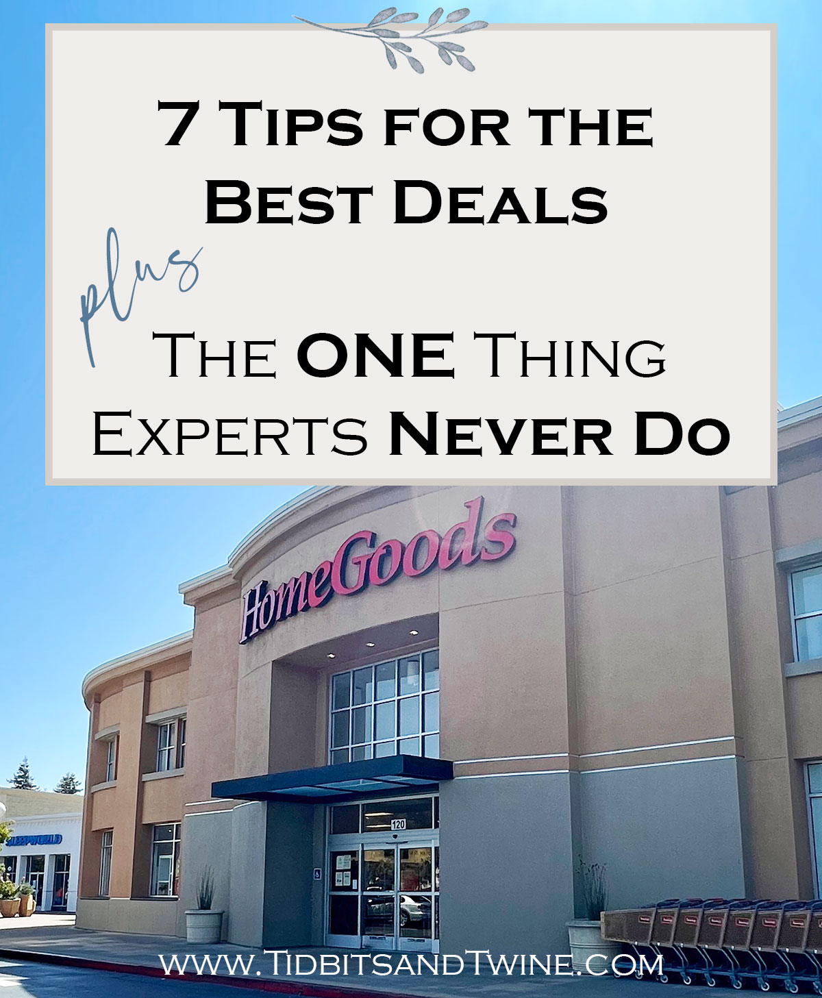 The 1 Thing Experts Never Do at Homegoods + 7 Tips They Always Follow