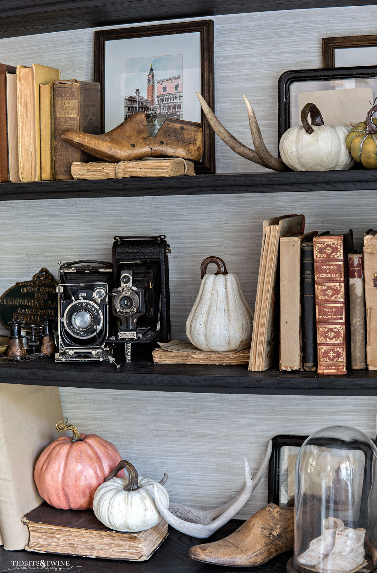 black cabinet with shelves styled for fall with books pumpkins and vintage cameras