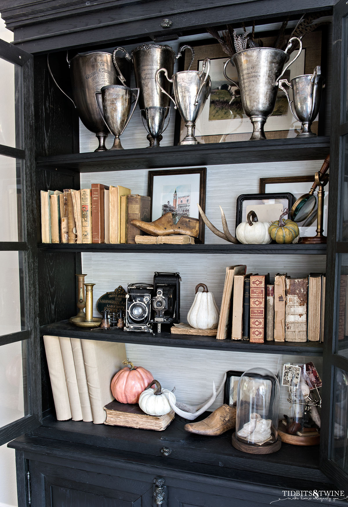 black cabinet with grass wallpaper on back wall styled for fall with books and pumpkins and vintage trophy cups