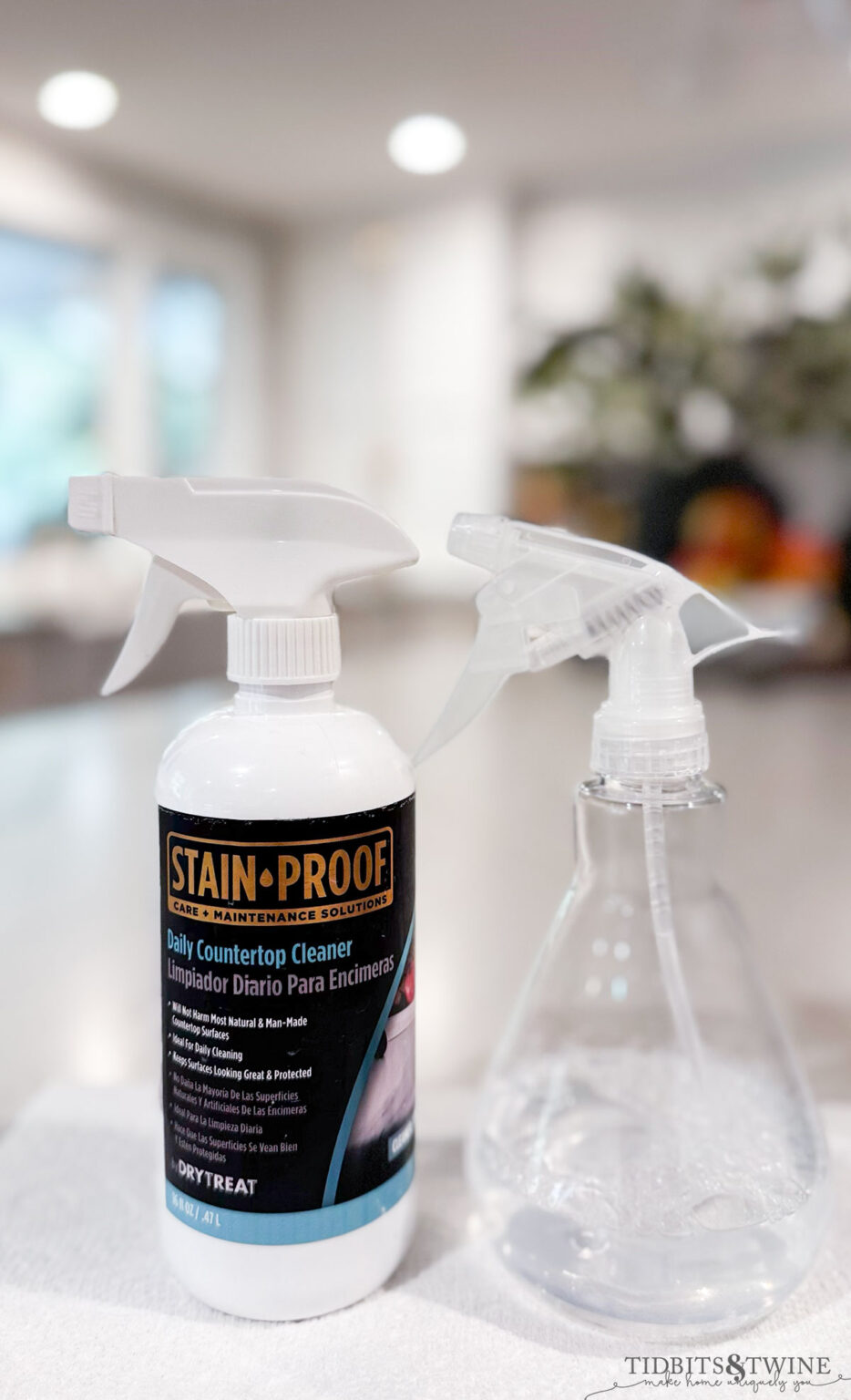 The BEST Sealer for Quartzite Countertops Tidbits&Twine