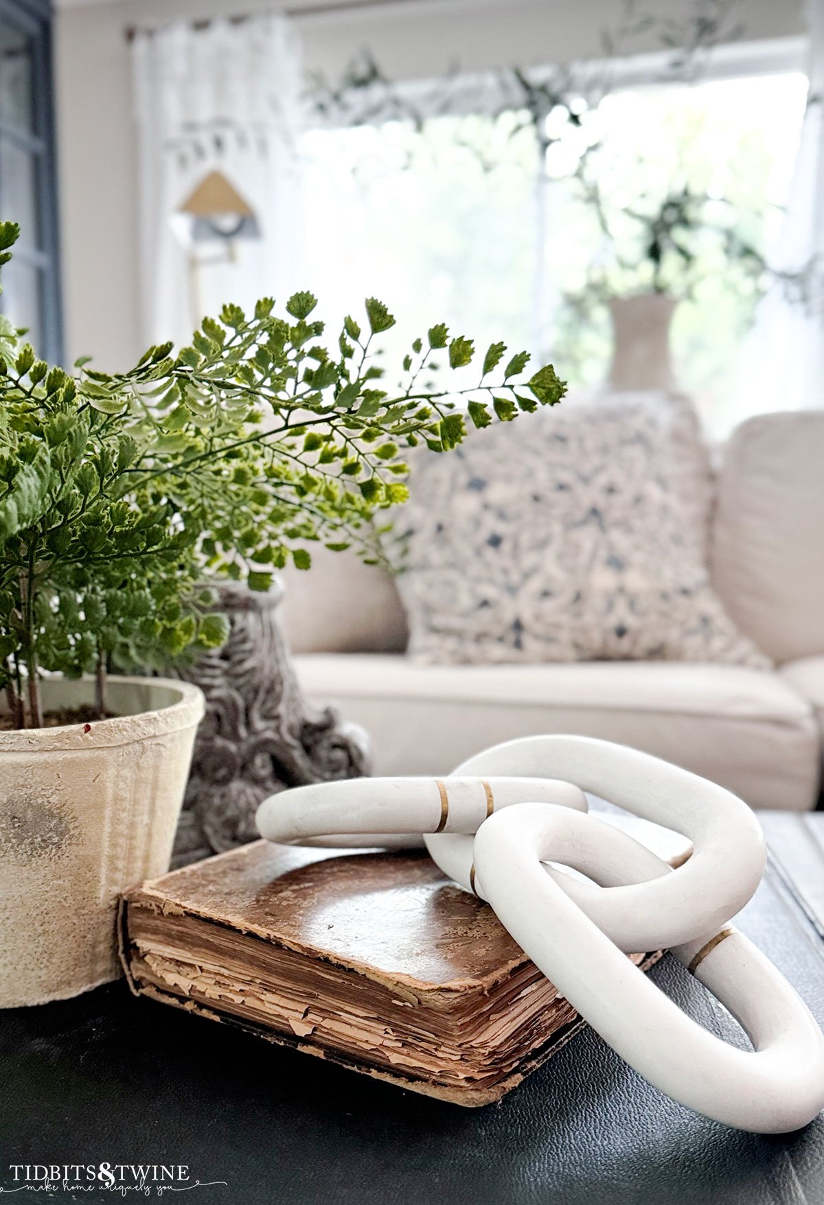 coffee table vignette with a fern and deckled edge book with marble chain decor on top of the book