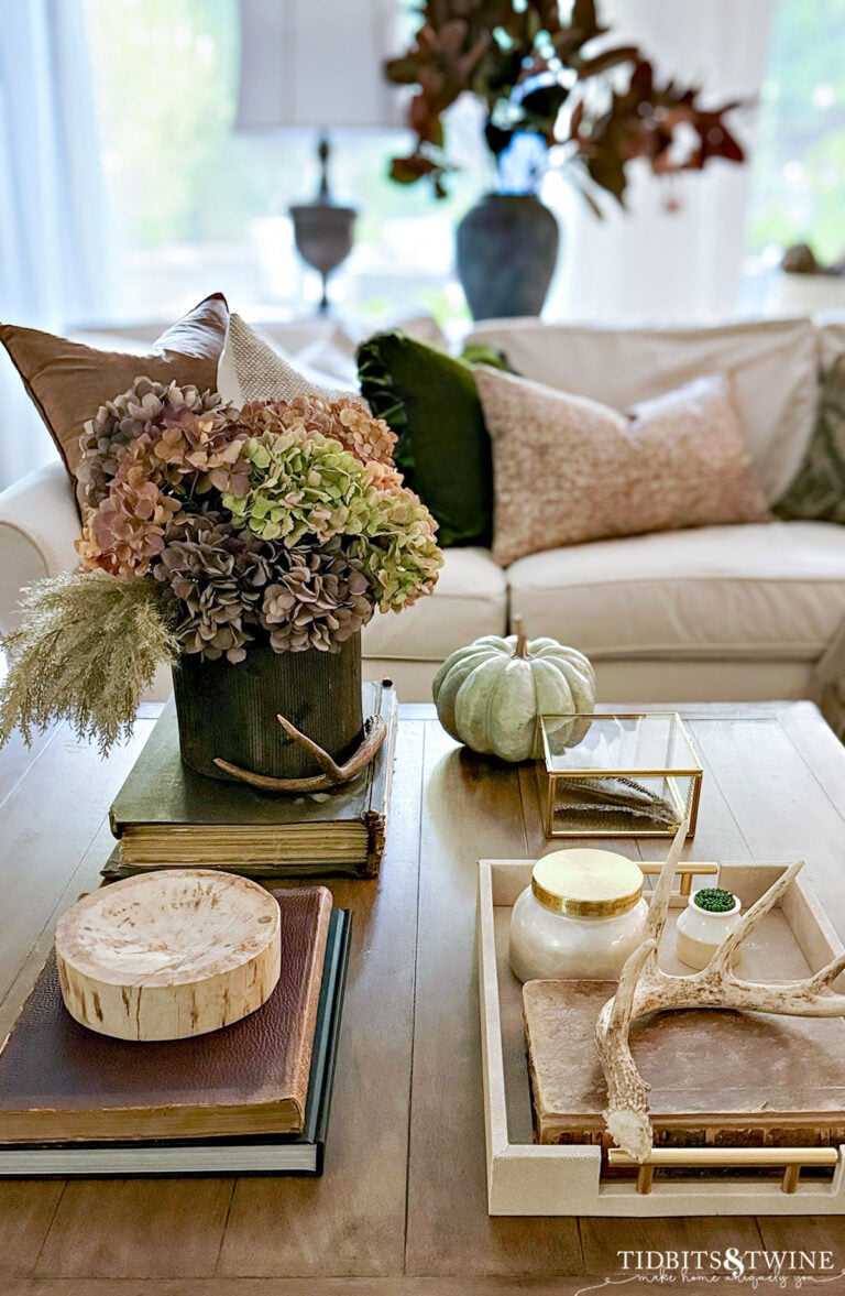 fall decorated coffee table in front of sofa with throw pillows