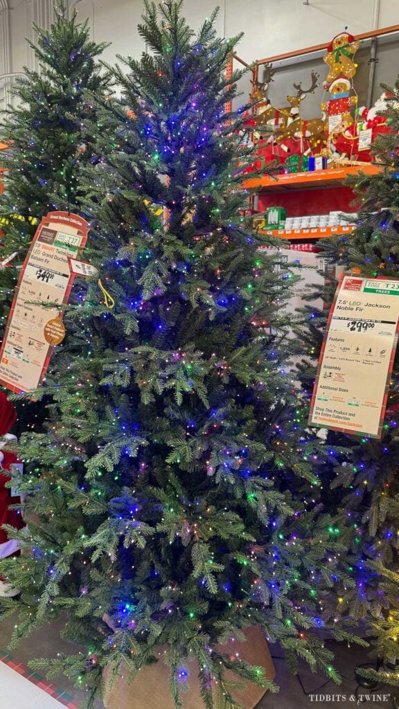 grand duchess christmas tree with colored lights in home depot
