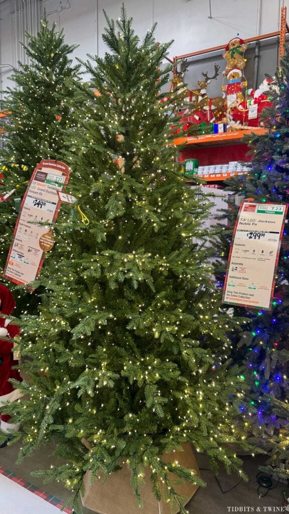 grand duchess christmas tree with white lights in home depot