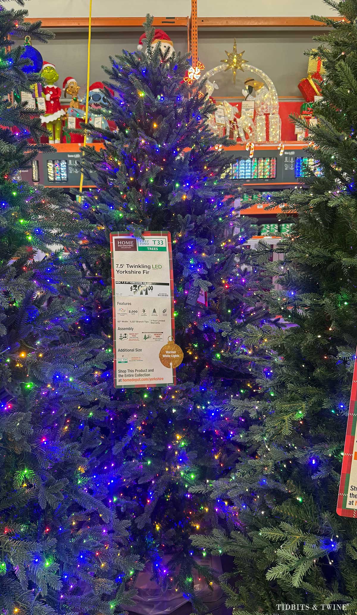 yorkshire fir christmas tree with colored light in home depot