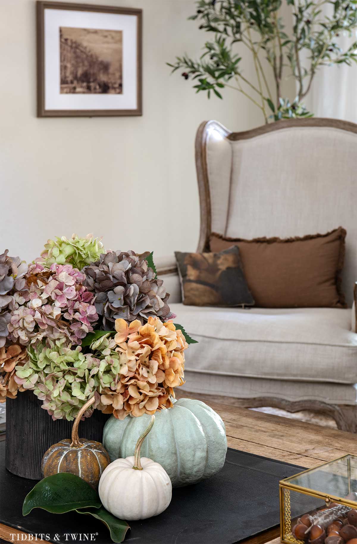 Close-up of real and faux hydrangeas with pumpkins on a fall coffee table